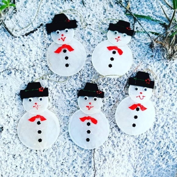 Capiz Shell Ornaments - Picture 1 of 1